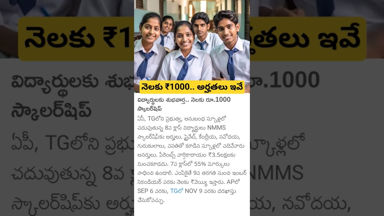 Student NMMS Scholarship 2024