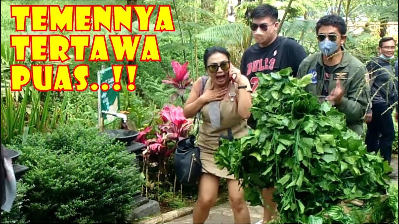 Kagetnya bikin gemes || Bushman prank jahil
