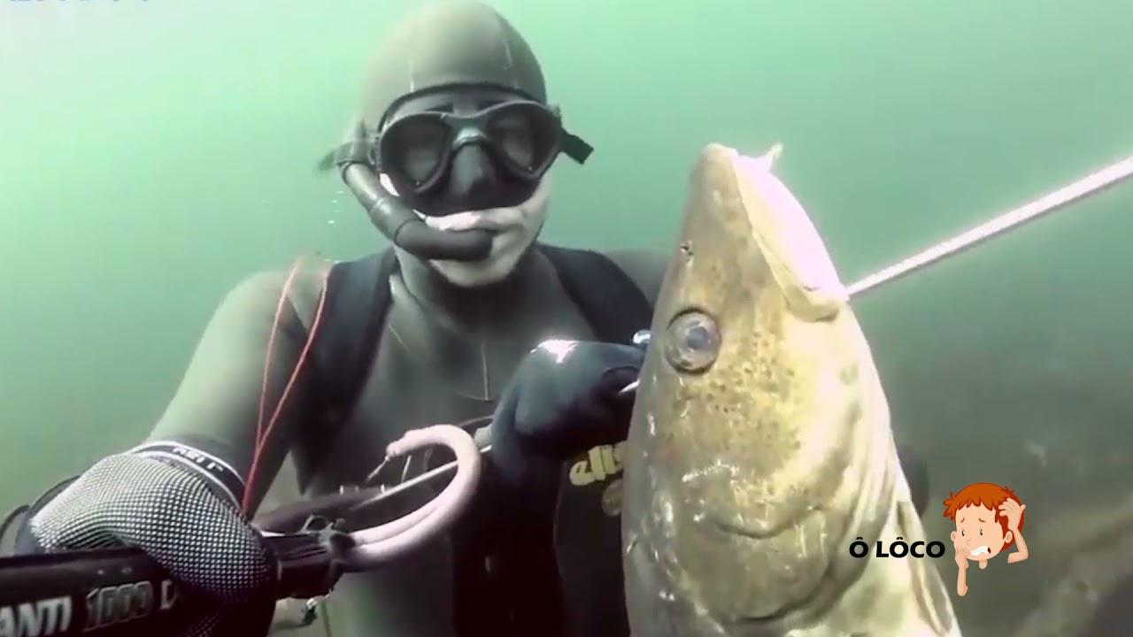 TIRO CERTEIRO NA CA&Ccedil;A [ PESCA NO FUNDO DO MAR COM ARP&Atilde;O]