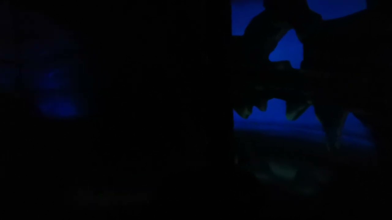 Peter Pan - Shanghai Disneyland