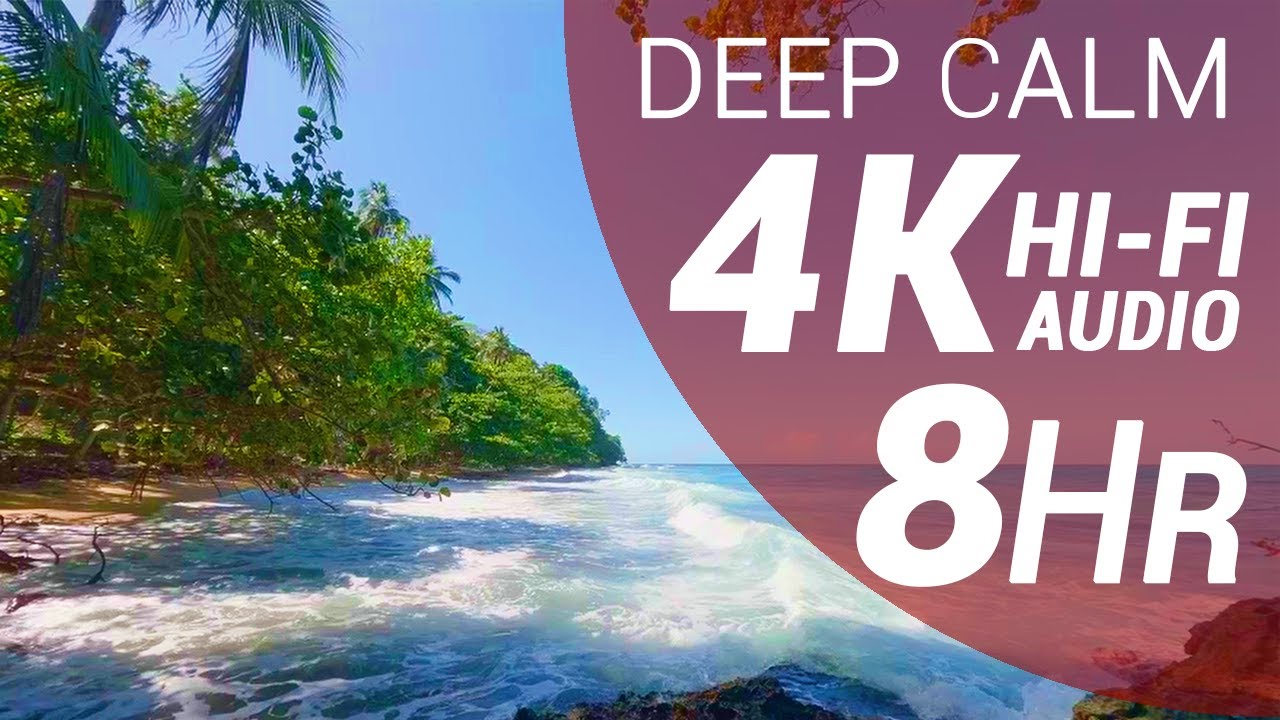 8 Hours of Waves Sounds - Tropical Wet Forest (4K - Hi-Fi Audio - No Talking)