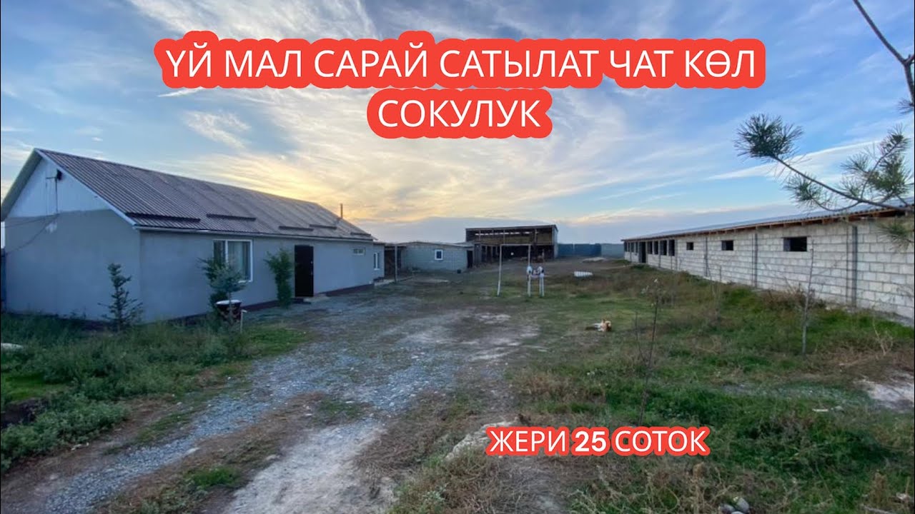 УЙ МАЛ САРАЙ САТЫЛАТ ЧАТ КӨЛ СОКУЛУК 2023