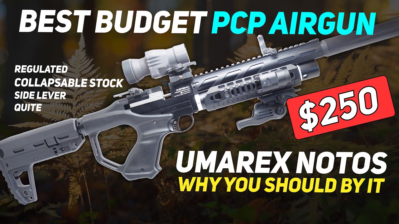The Best Budget Airgun Upgrade for Your Umarex Notos