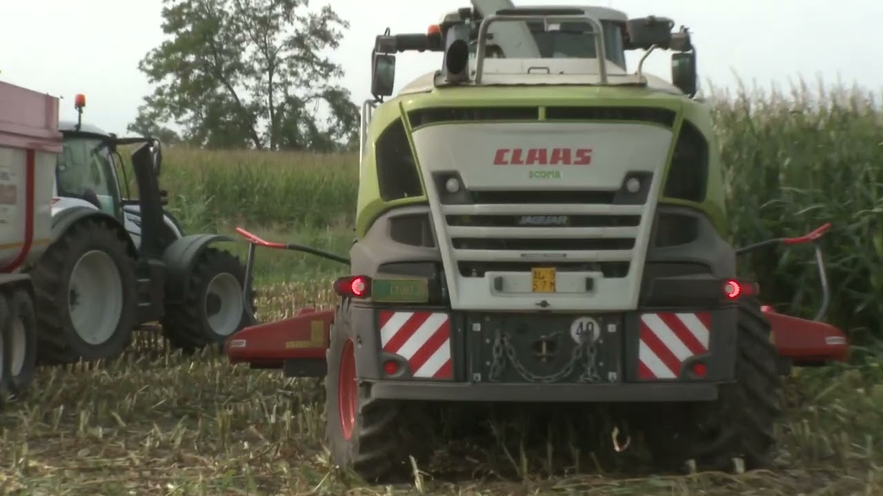 Jaguar 970 Claas trinciatura mais 2025