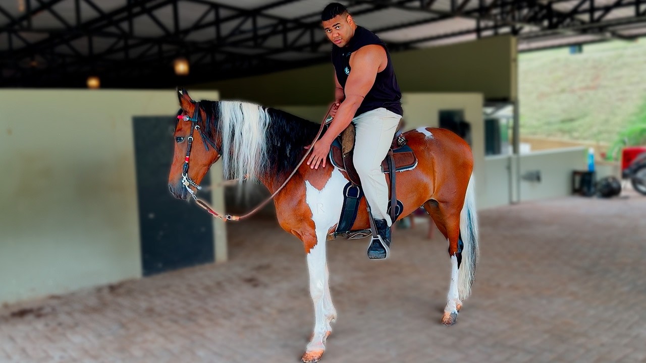 BITELO DOMOU O CAVALO MAIS FORTE DO HARAS DO PATRÃO