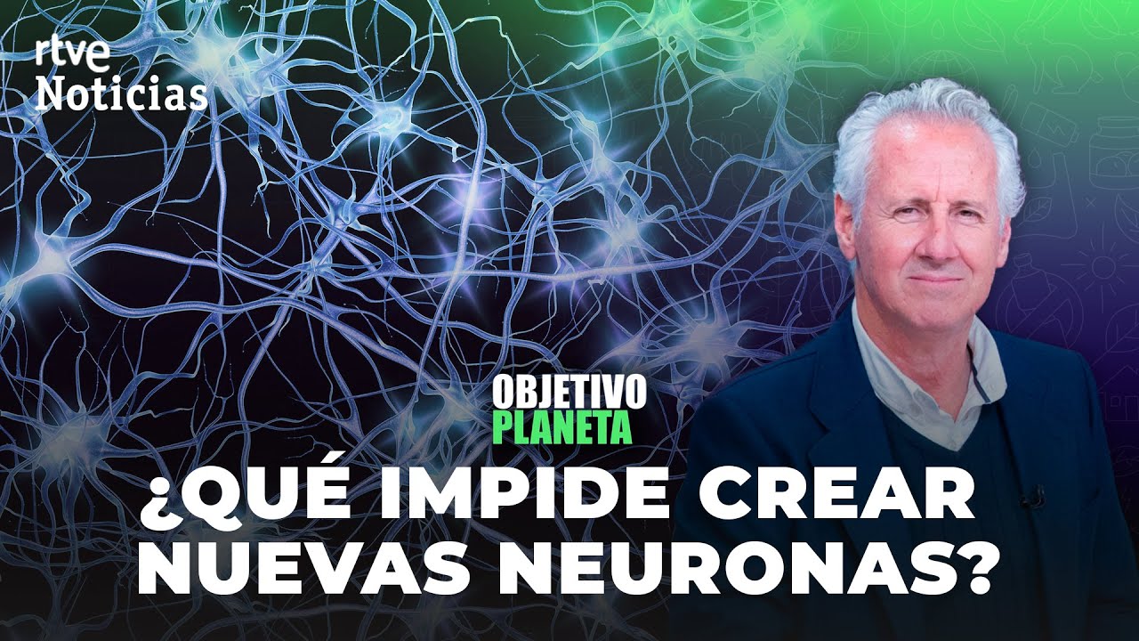 OBJETIVO PLANETA: LAS NUEVAS NEURONAS. La NEUROG&Eacute;NESIS y sus ENEMIGOS | RTVE