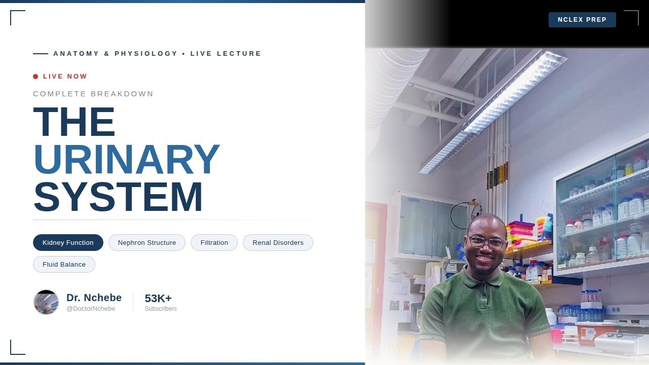 🔴 LIVE: The Urinary System FULL Breakdown | Kidney Function, Filtration & NCLEX Prep |