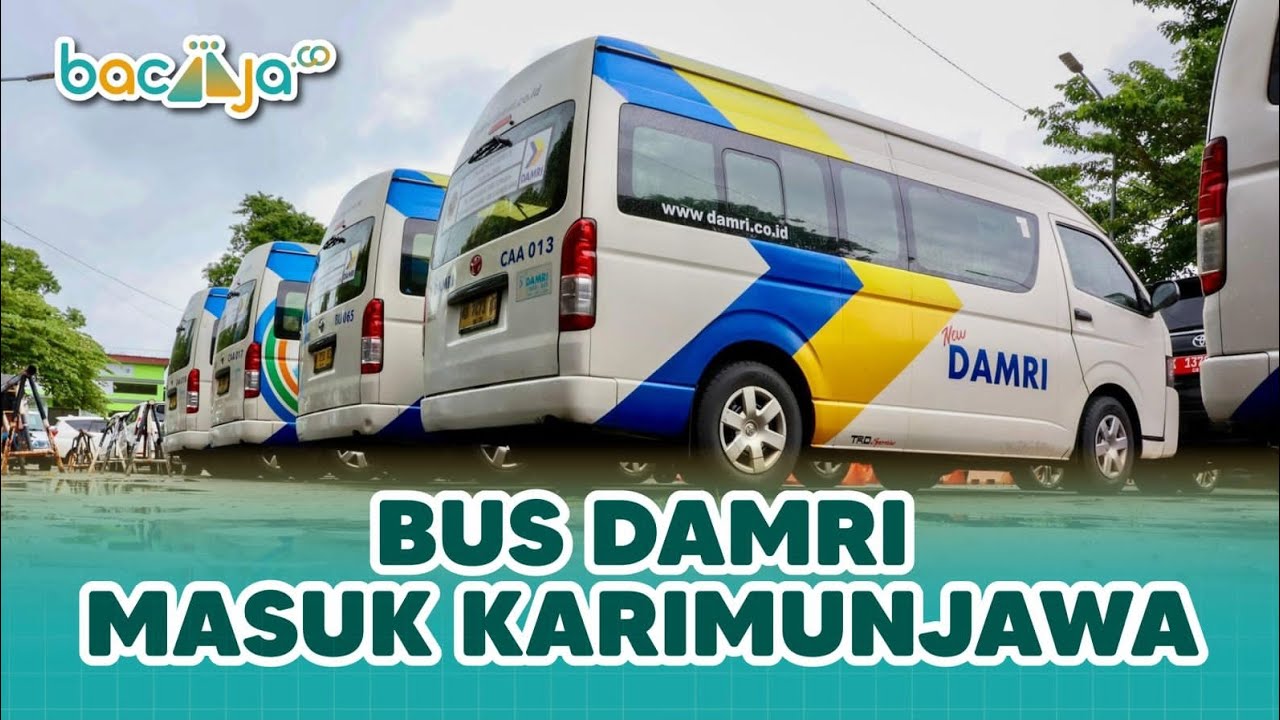 BUS DAMRI RESMI BEROPERASI DI KARIMUNJAWA! TARIF CUMA 7 RIBUAKSES KARIMUNJAWA MURAH! DAMRI