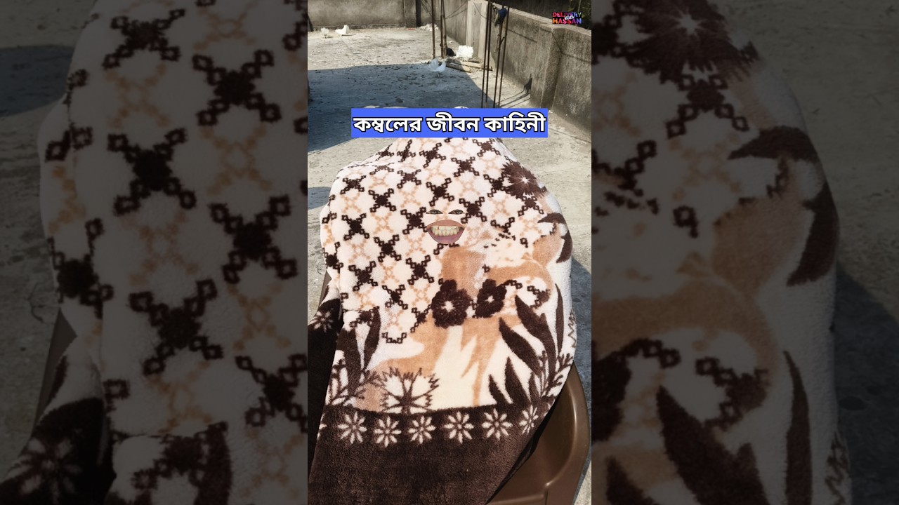 কম্বলের জীবন কাহিনী 😁😁 
