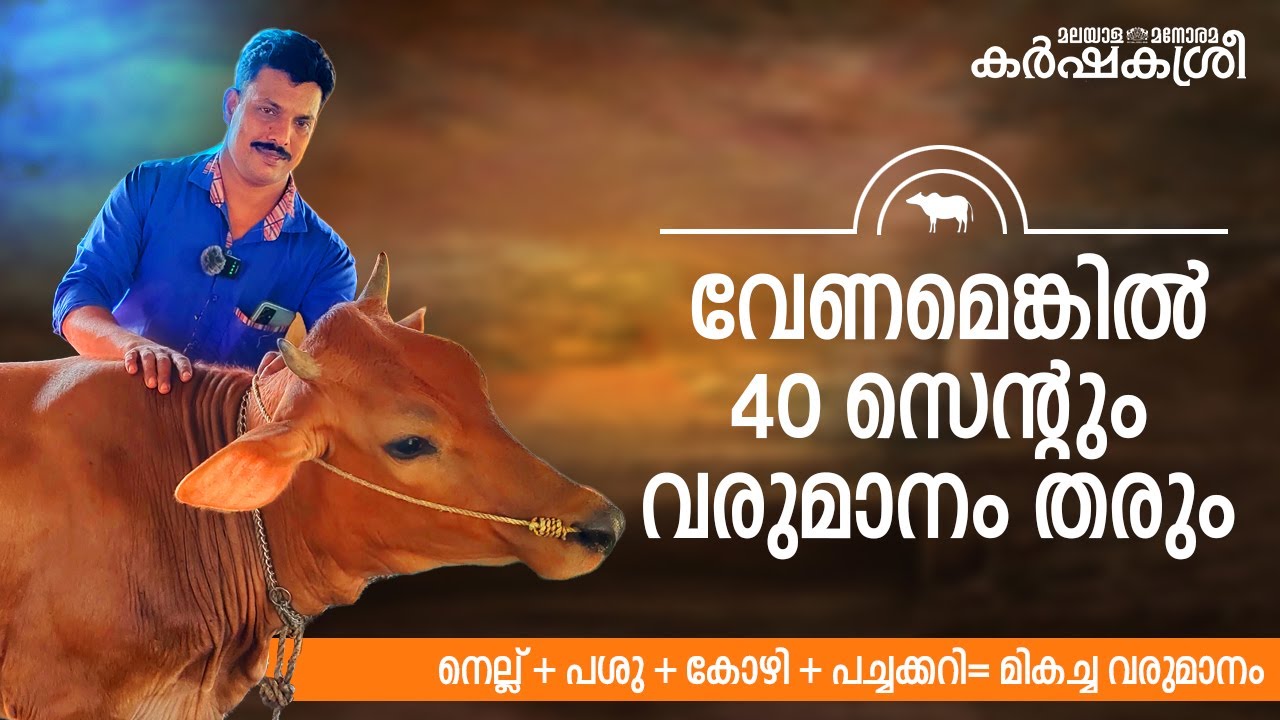 വേണമെങ്കിൽ 40 സെന്റും മികച്ച വരുമാനം നൽകും
