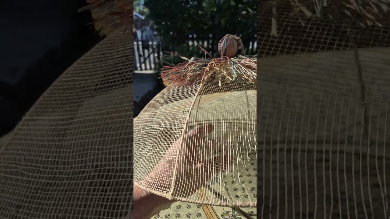 Day 7 - it was a week ago today that I found this little struggling special needs monarch.  