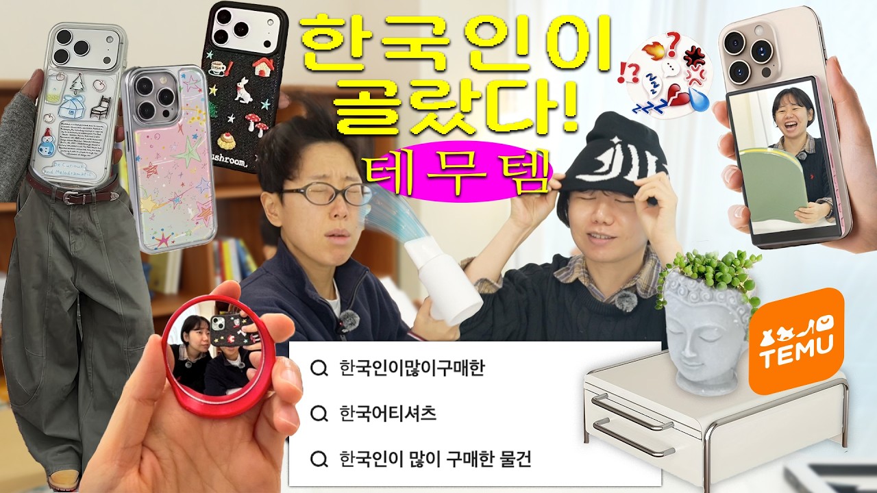 실패 없는 한국인의 테무 후기