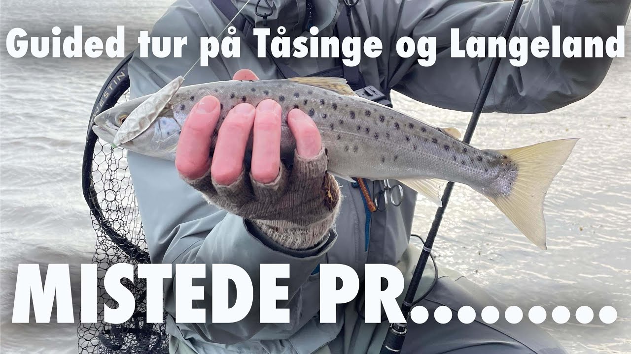 Guided Tur med Jim 🎣 Mistede den største Havørred EVER (eller var det en Laks) 🐟 Havørred Fiskeri