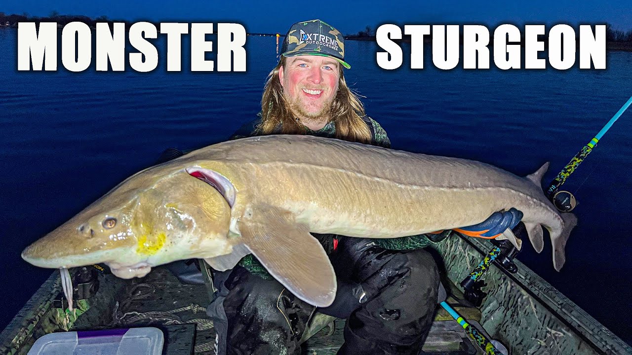 Michigan Sturgeon Fishing on Lake St Clair River: GIANT STURGEON