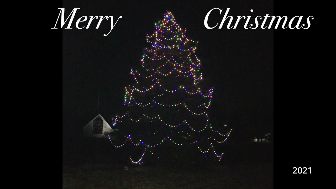 The Largest Christmas Tree Nearby