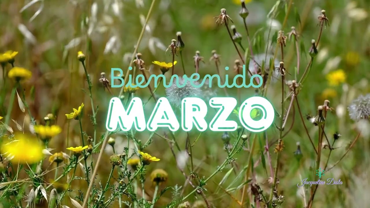 1ero  de Marzo, 2026 - El Deseo de Reconocimiento (Dia 11)