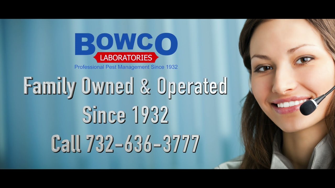 Montclair NJ Pest  Control Service For Bees, Bed Bugs, Termites, Ants & Humane Animal Control