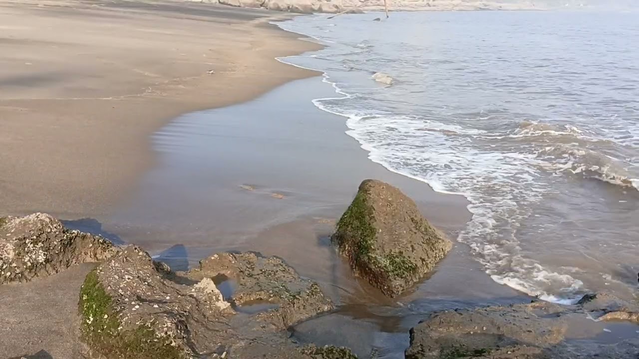 Ultimate Relaxing Beach Waves – Ocean Ambience for Study & Meditation