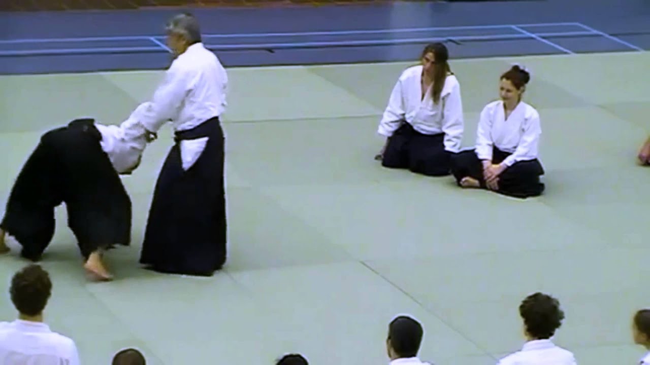 Aikdo - Hiroshi Ikeda Sensei - 2014 ASU DC Summer Aikido Camp