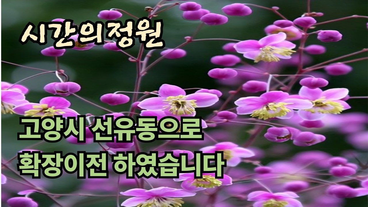 26.3.20.시간의정원,확장이전하였습니다