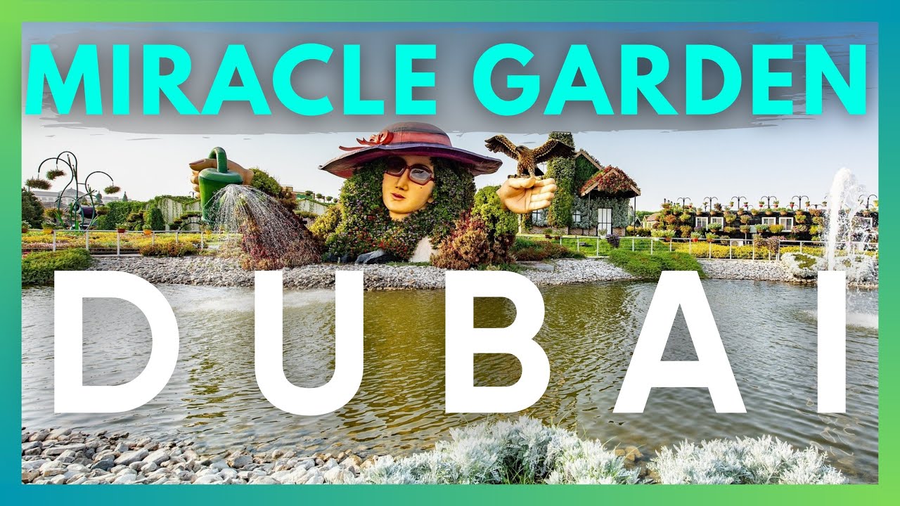 MIRACLE GARDEN I MIRACLE GARDEN DUBAI | MIRACLE GARDEN 2025 | MIRACLE GARDEN DUBAI 2025 | DUBAI UAE