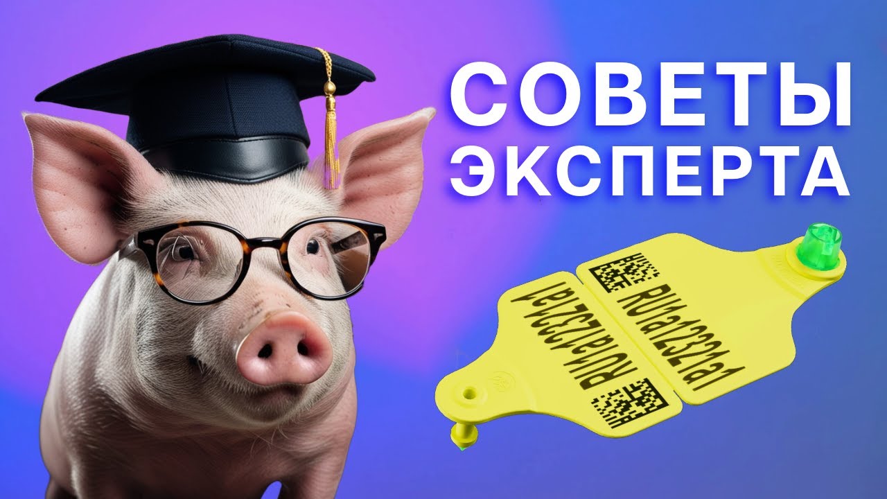 Как правильно выбрать ушную бирку?