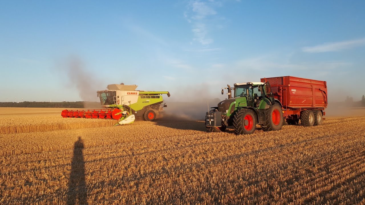 (Sound Pur/ Cabview) Weizen abfahren mit Fendt Vario 930 und Krampe BigBody 650 S