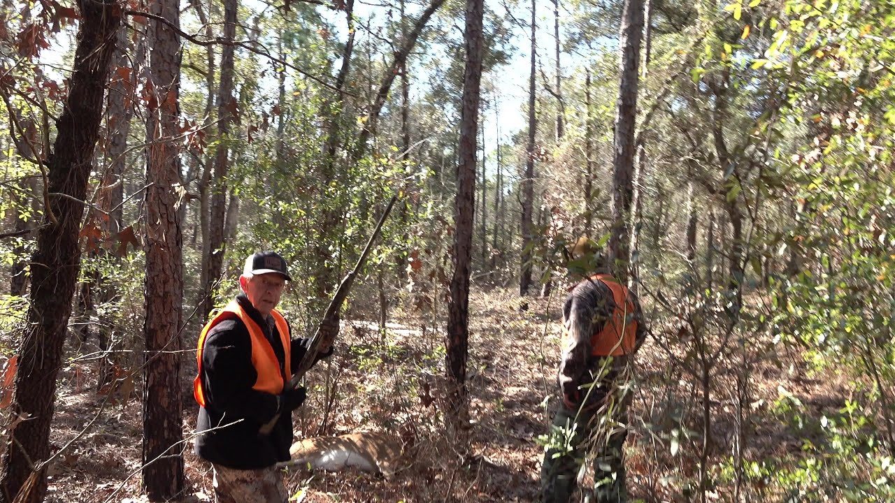 Pawpaw Killed a Big Buck (Dog Hunting)