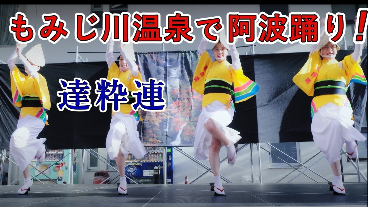 【阿波踊り2024】秋に行われる阿波おどり　もみじまつり　達粋連　もみじ川温泉