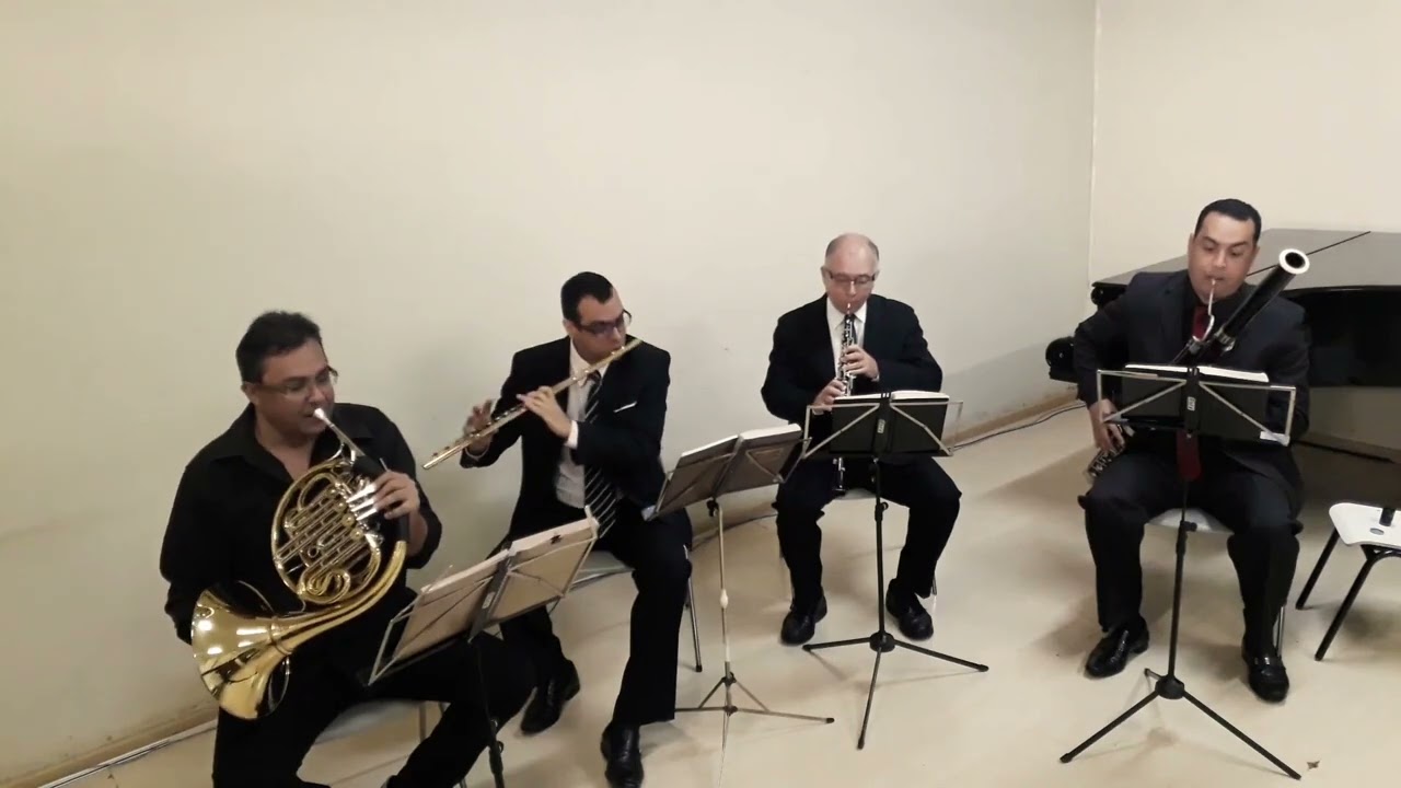 #ccb #bassoon #ccbhinos #fagote #fagotto 