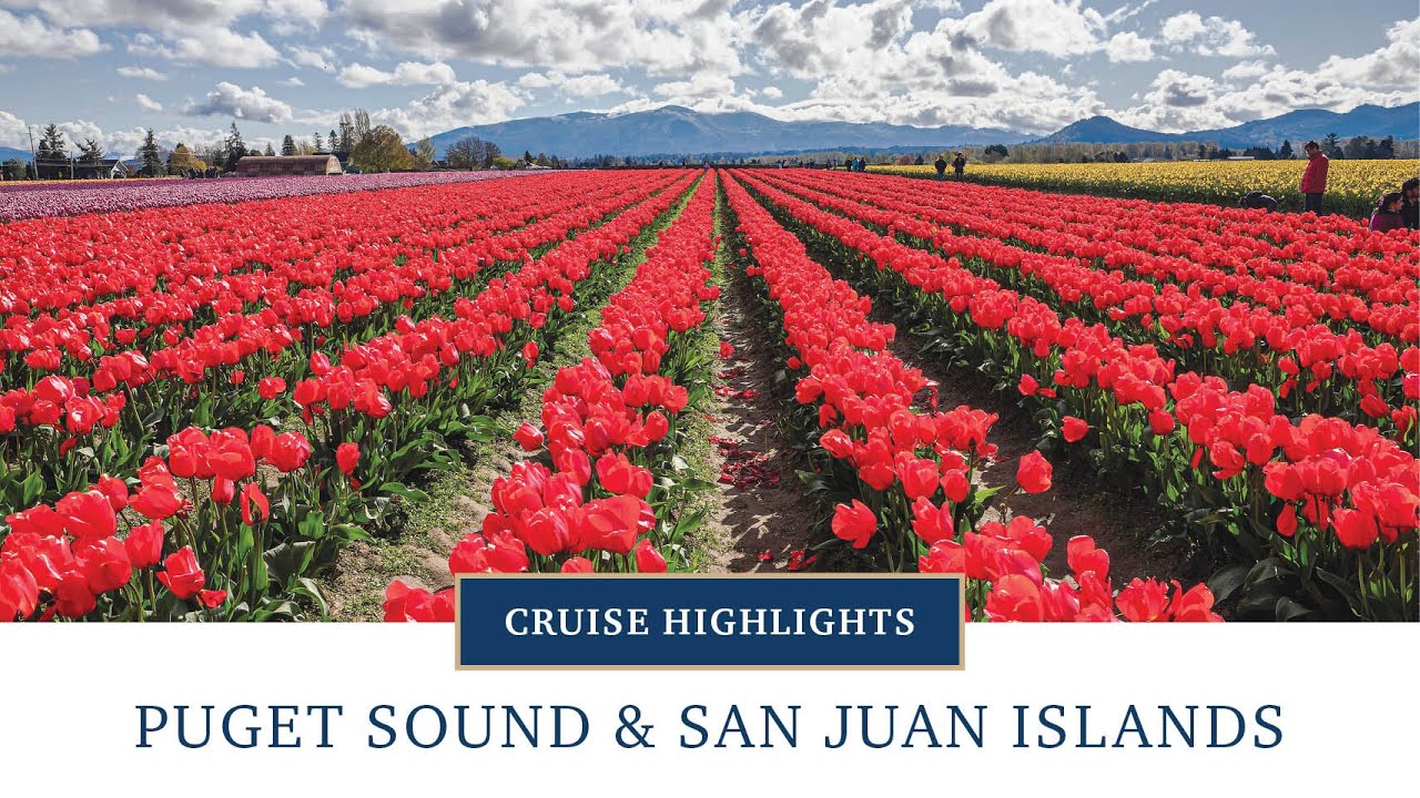 Puget Sound & San Juan Islands Cruise Highlights | American Cruise Lines