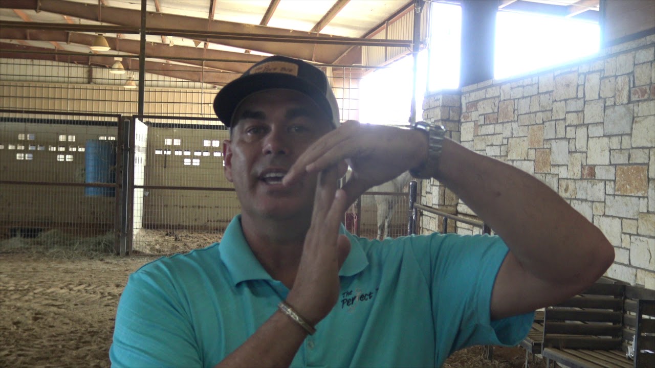 What A Ported Bit Is For | Bit Expert Darren Stoner Explains