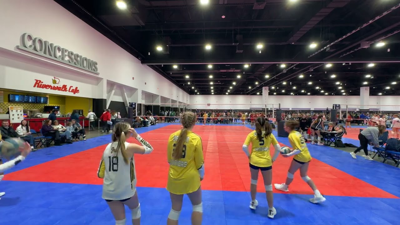 WJV 14N v Impulse 14 Black 