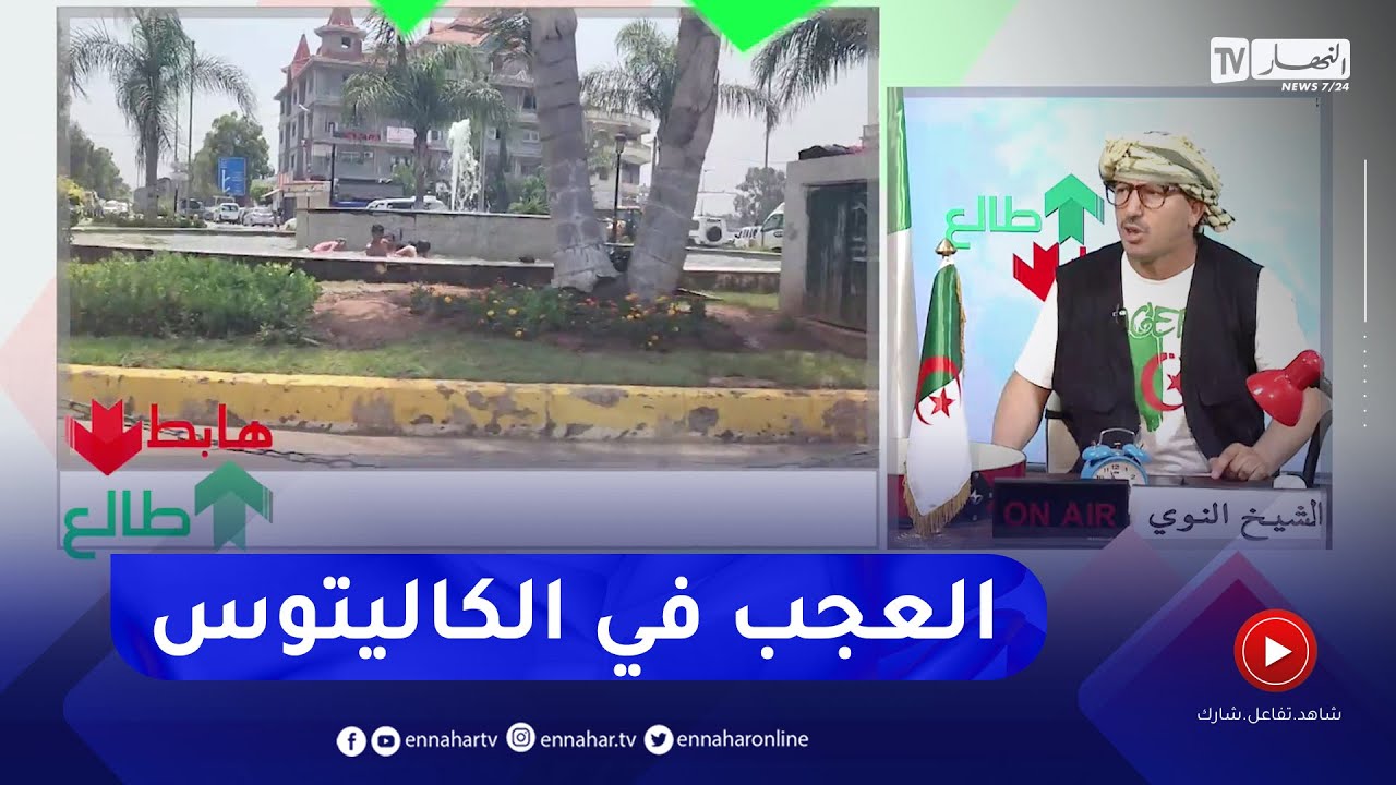 طالع هابط: فتح موسم في الإصطياف في بلدية الكاليتوس..  شاهد