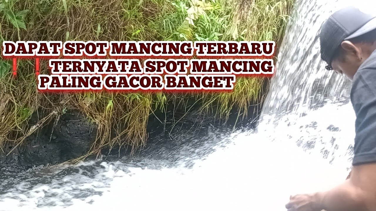 SPOT MANCING TERBARU ❗DETIK DETIK ANGKAT BABON IKAN NILA ⁉️ TERNYATA GACOR BANGET IKANNYA 