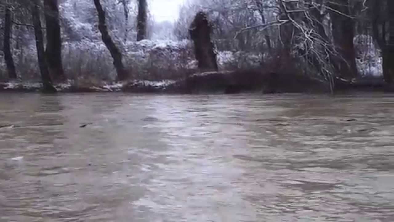 Laborec(4) - 31.1.2015 - Strážske