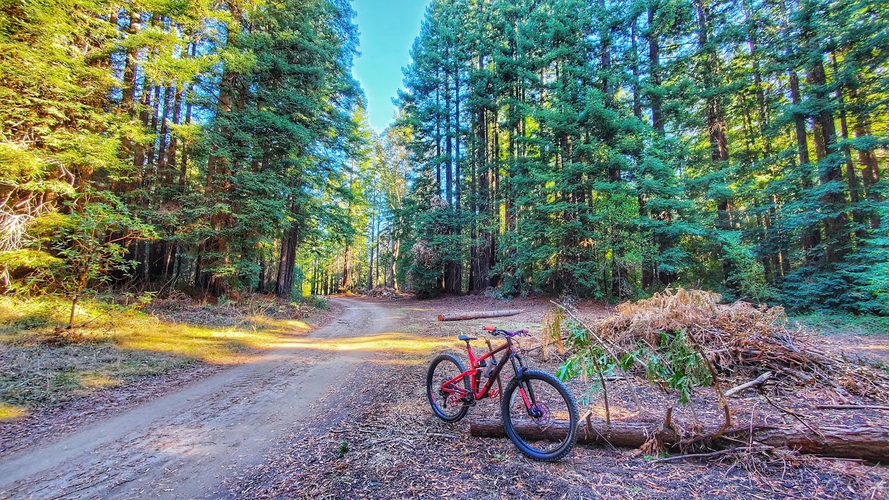 UCSC Mailboxes - Santa Cruz, CA #mtb