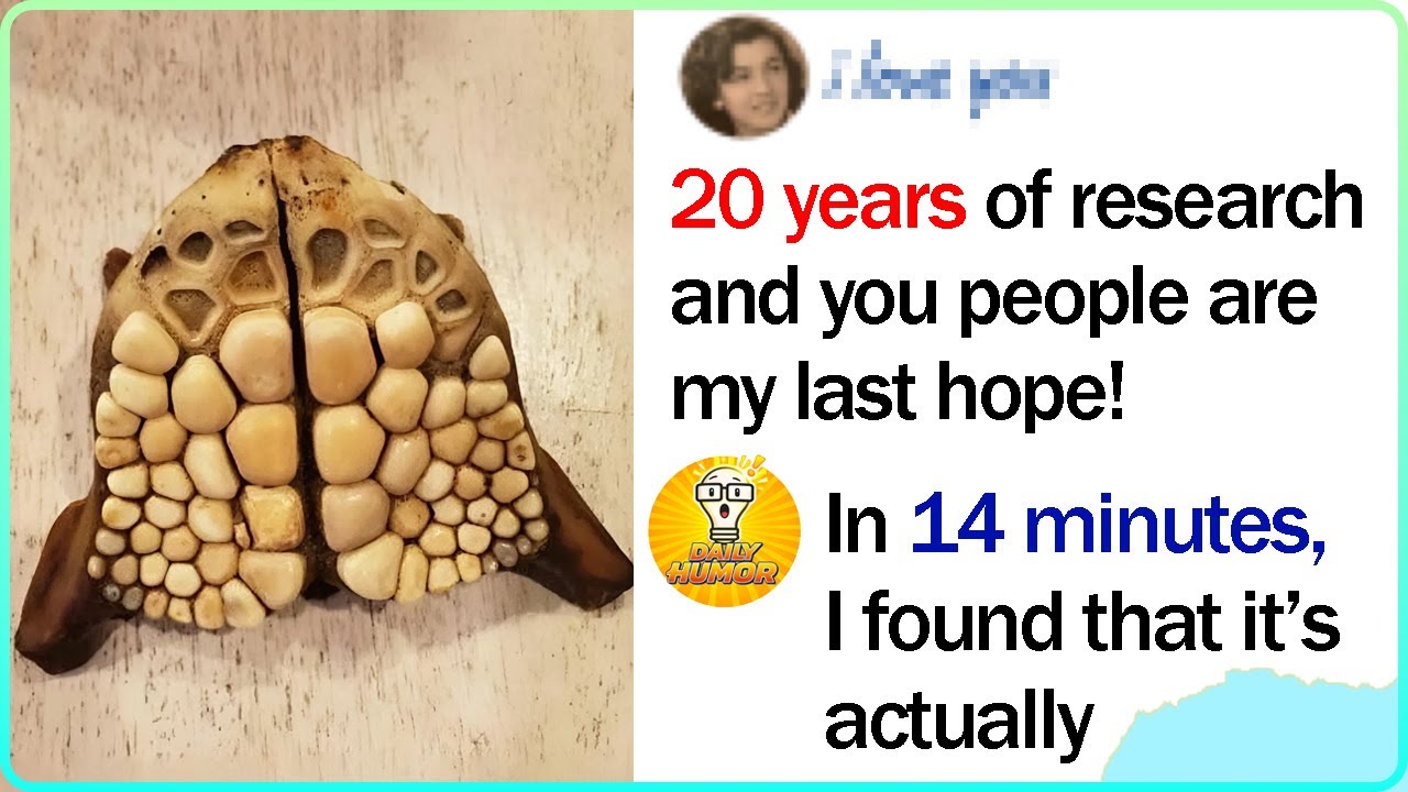 Things That Didn’t Make Sense At First Until Someone Explained Them
