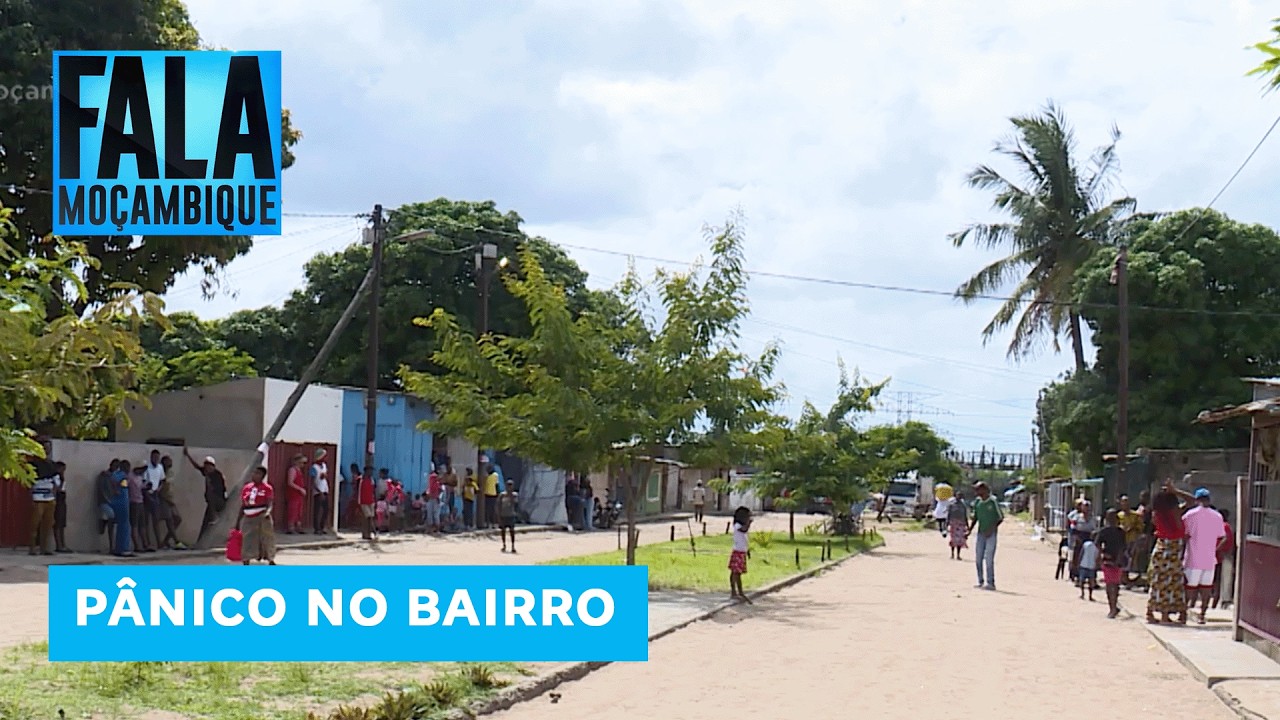 Cobras invadem Machava Trevo (Casa Branca) e moradores suspeitam intervenção de forças sobrenaturais