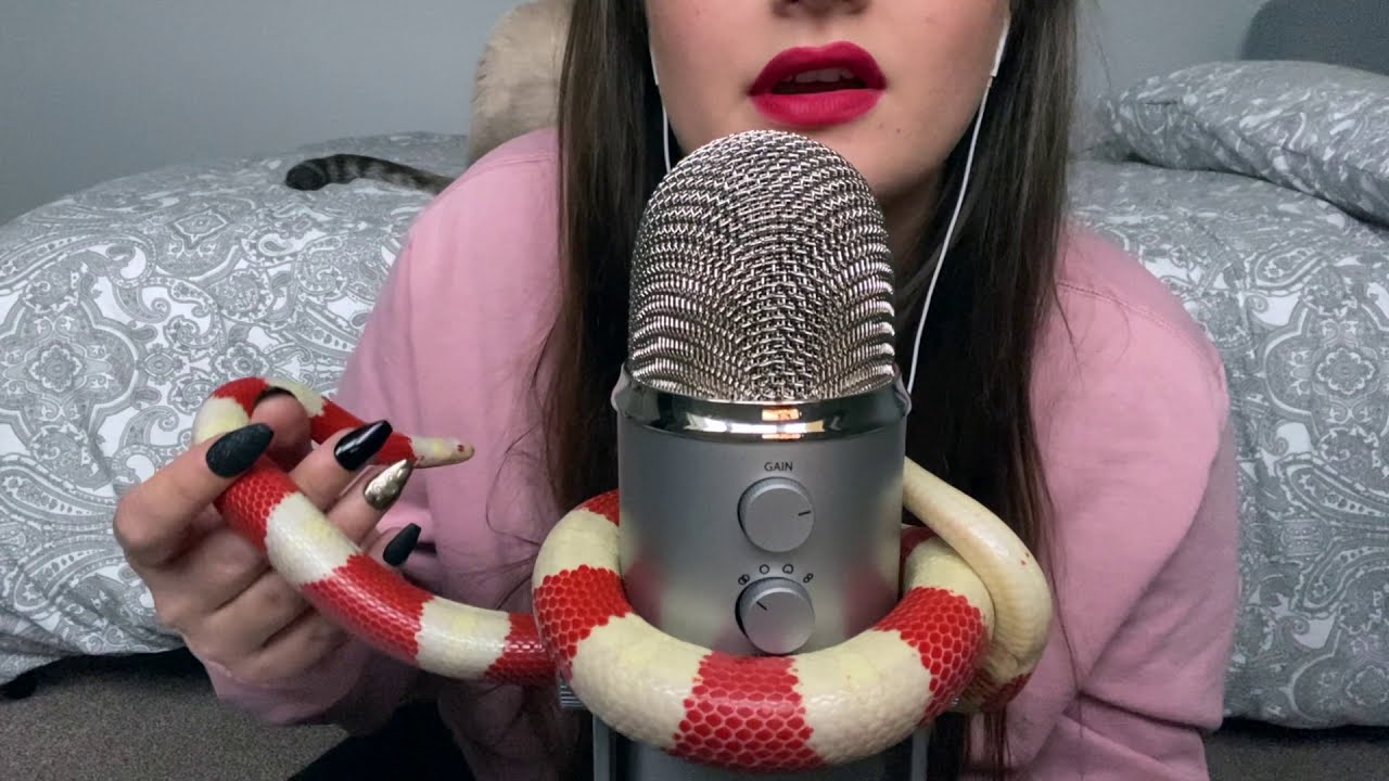 ASMR Meet My Pet Snake!