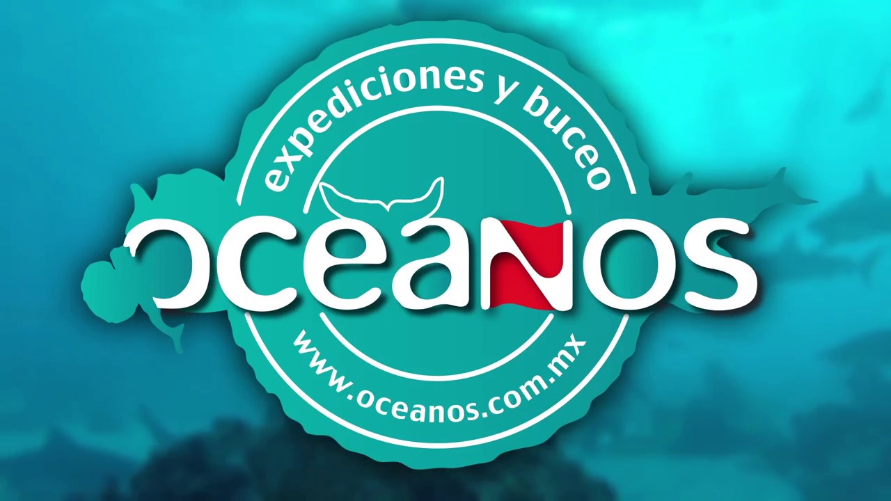 Centro de Buceo Oc&eacute;anos Expediciones y Buceo