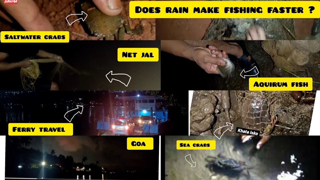 Rain time fishing in goa । ribandar।
