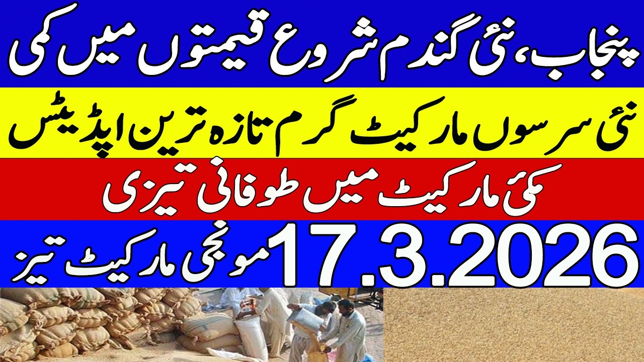 New Gandum Sarson Munji Makki Rates