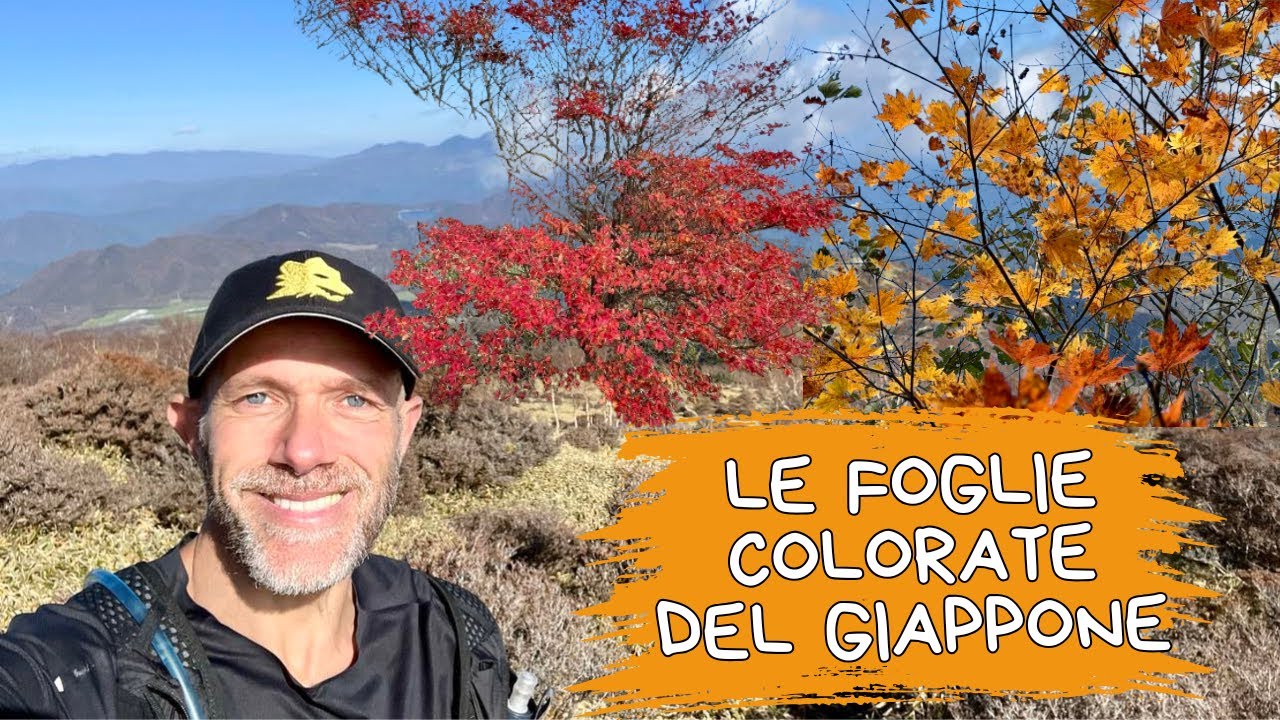 Le foglie colorate del Giappone (The autumn foliage of Japan): Akanagi san - 赤薙山 (2010m)