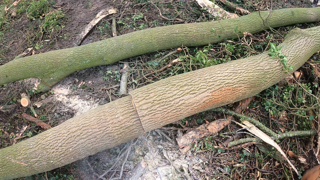 4K Chainsaw Husqvarna Cross Cutting POV