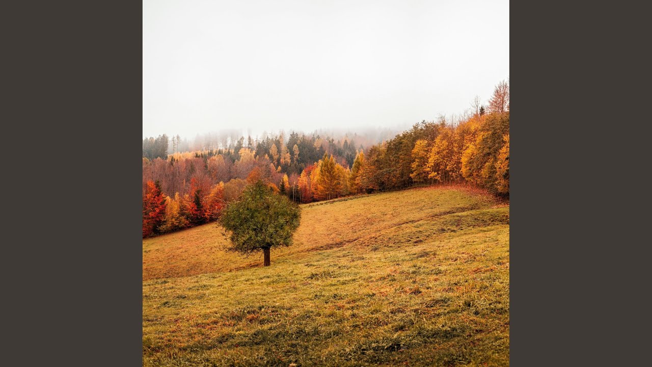 No Hard Feelings (feat. AlleyU)