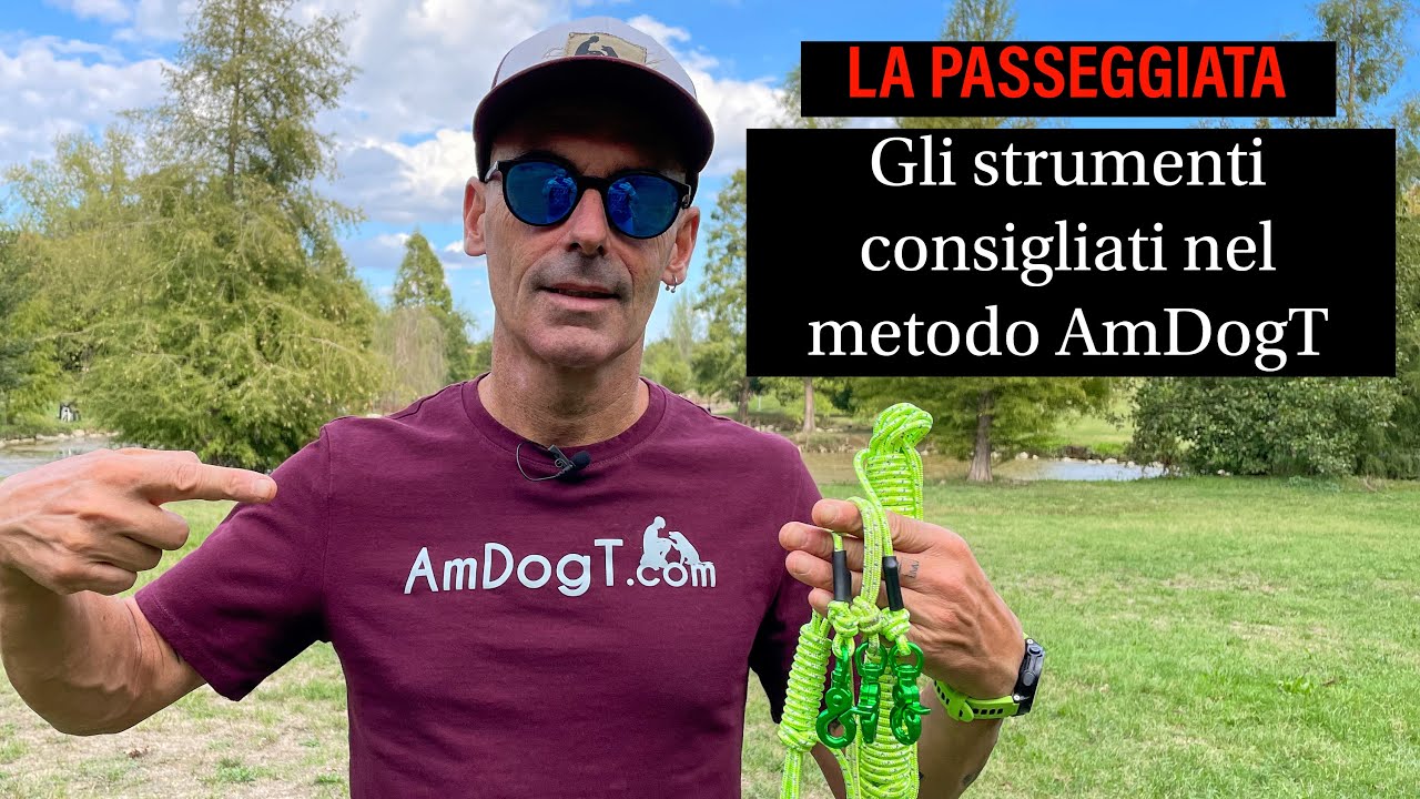 La Passeggiata, gli strumenti consigliati nel metodo AmDogT