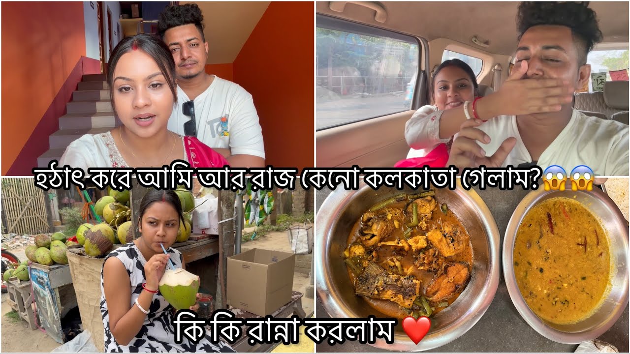 হঠাৎ করে আমি আর রাজ কেনো কলকাতা গেলাম?😱😱 Bangla Vlog। Daily Vlog 
