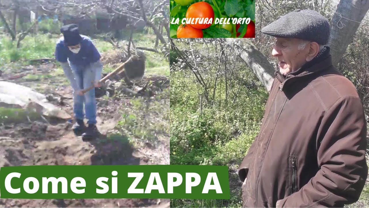 Come si Zappa la Terra. La tecnica dell'erba capovolta.