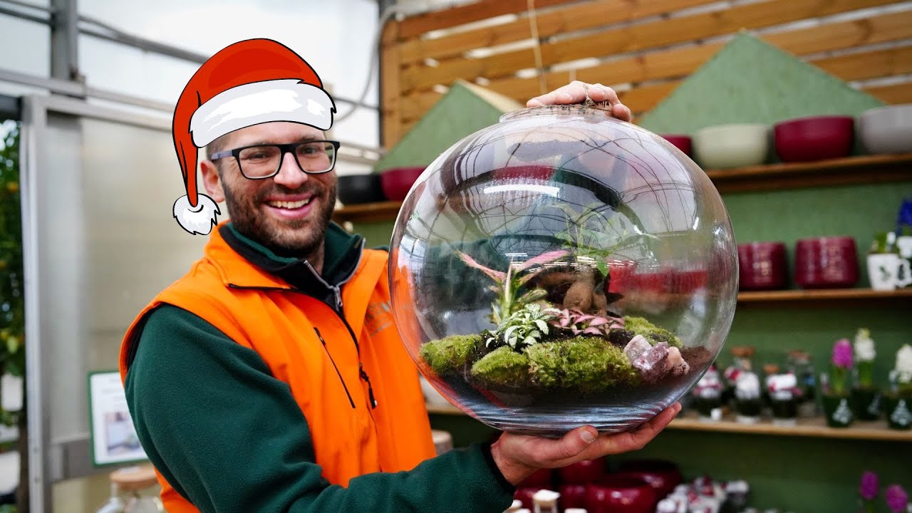 A Natale vi aspettiamo fino al 24 dicembre da Sassi Garden
